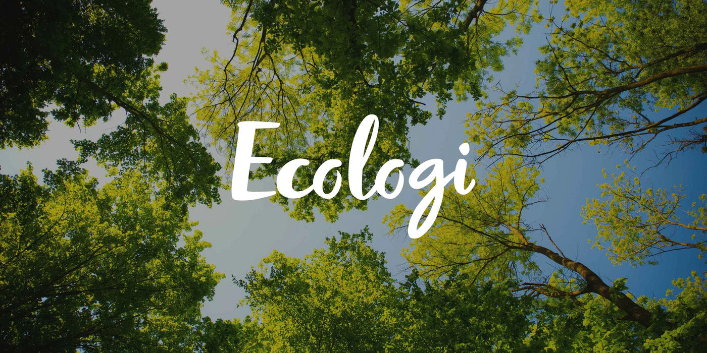 Botanically Curated x Ecologi